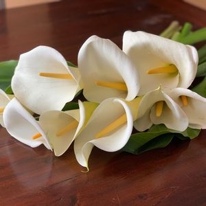 Meet your Posher, Nguyet dan